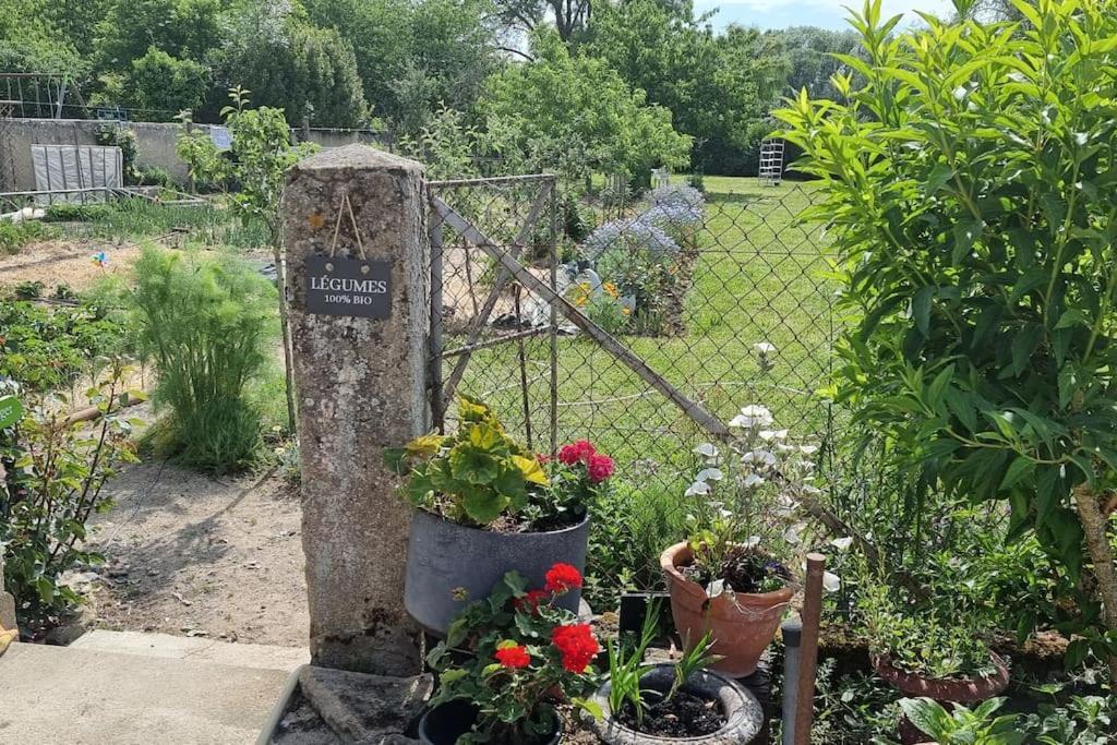Les Noyers Monestois Entre Cher Et Canal De Berry *